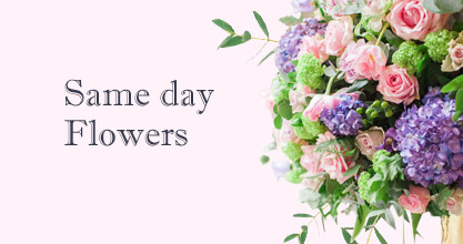 Same day Flowers Chiswick