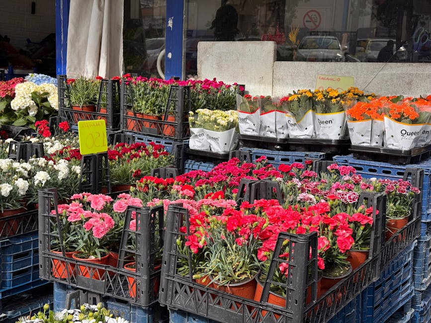 A display of potted flowering plants arranged outdoors on black plastic crates, including pink, red, white, yellow, and orange blooms. The flowers appear fresh and vibrant, with petals showing texture